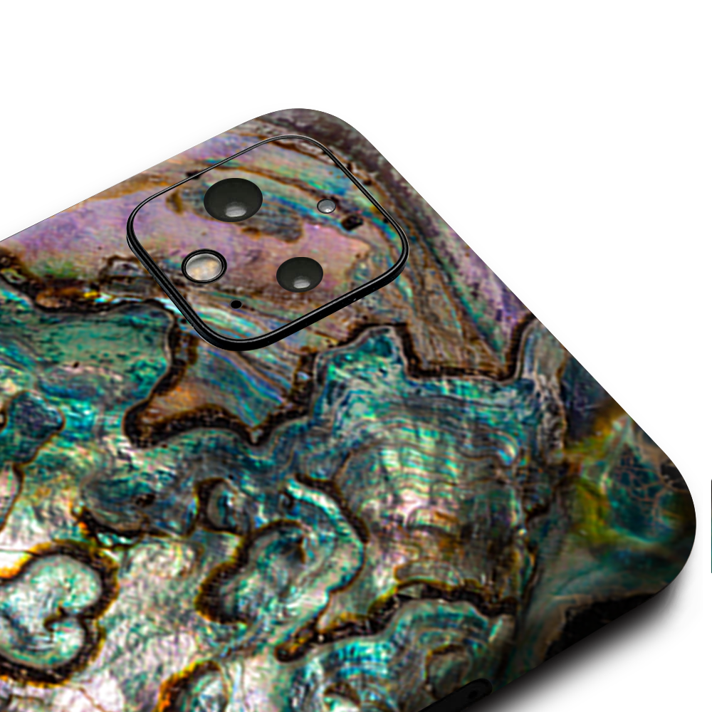Abalone Shell Gold Underwater