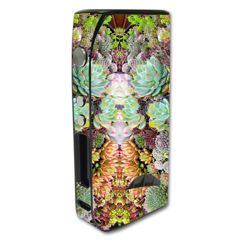  Succulents Floral Pioneer4You iPV5 200w Skin
