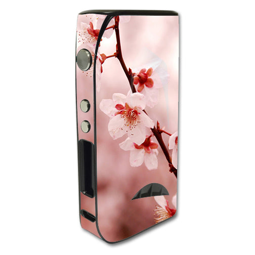  Cherry Blossoms Pioneer4You iPV5 200w Skin