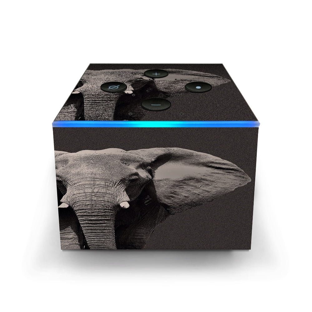  Close Up Of The Elephant Amazon Fire TV Cube Skin