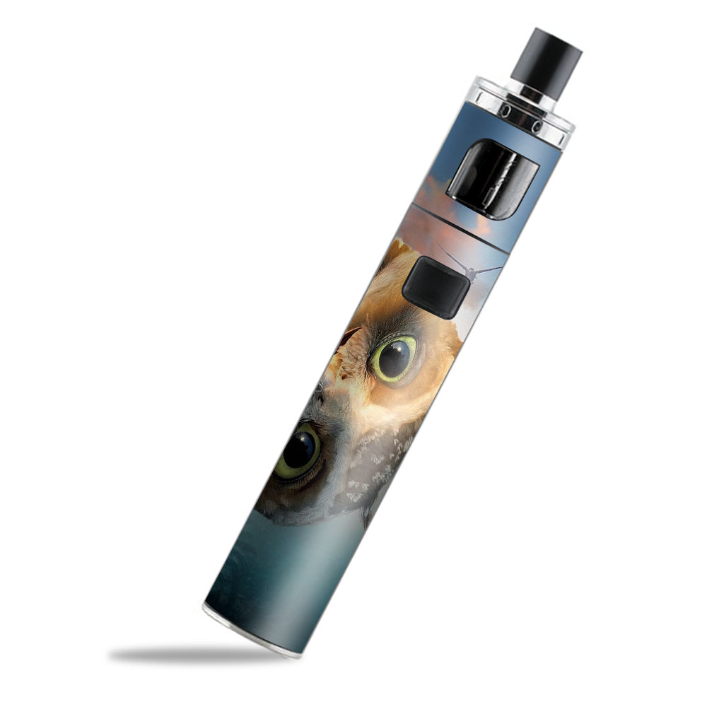  Funny Owl, Cute Owl PockeX Aspire Skin