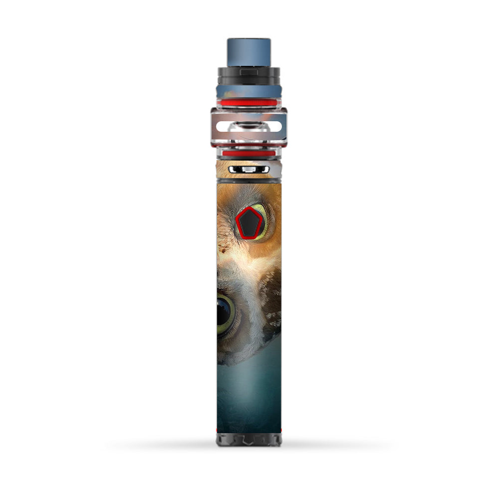  Funny Owl, Cute Owl Smok Stick Prince Baby Skin