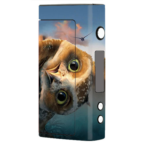  Funny Owl, Cute Owl Sigelei Fuchai 200W Skin