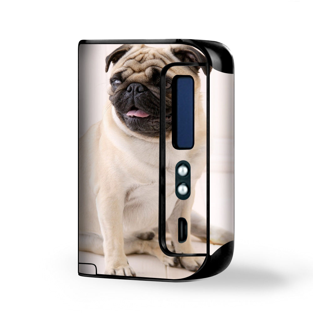  Pug Mug, Cute Pug Smok Osub King Skin