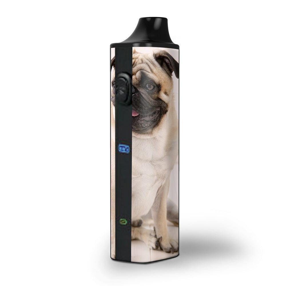  Pug Mug, Cute Pug Pulsar APX Skin