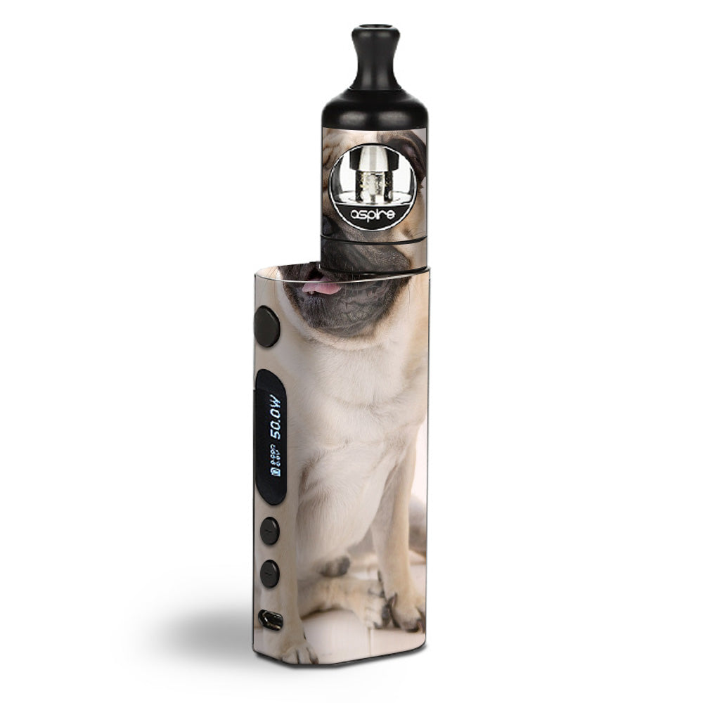  Pug Mug, Cute Pug Aspire Zelos  Skin