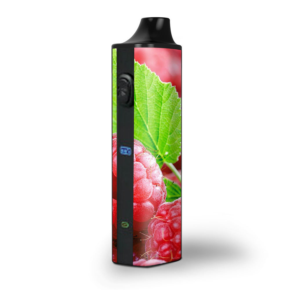  Raspberry, Fruit Pulsar APX Skin