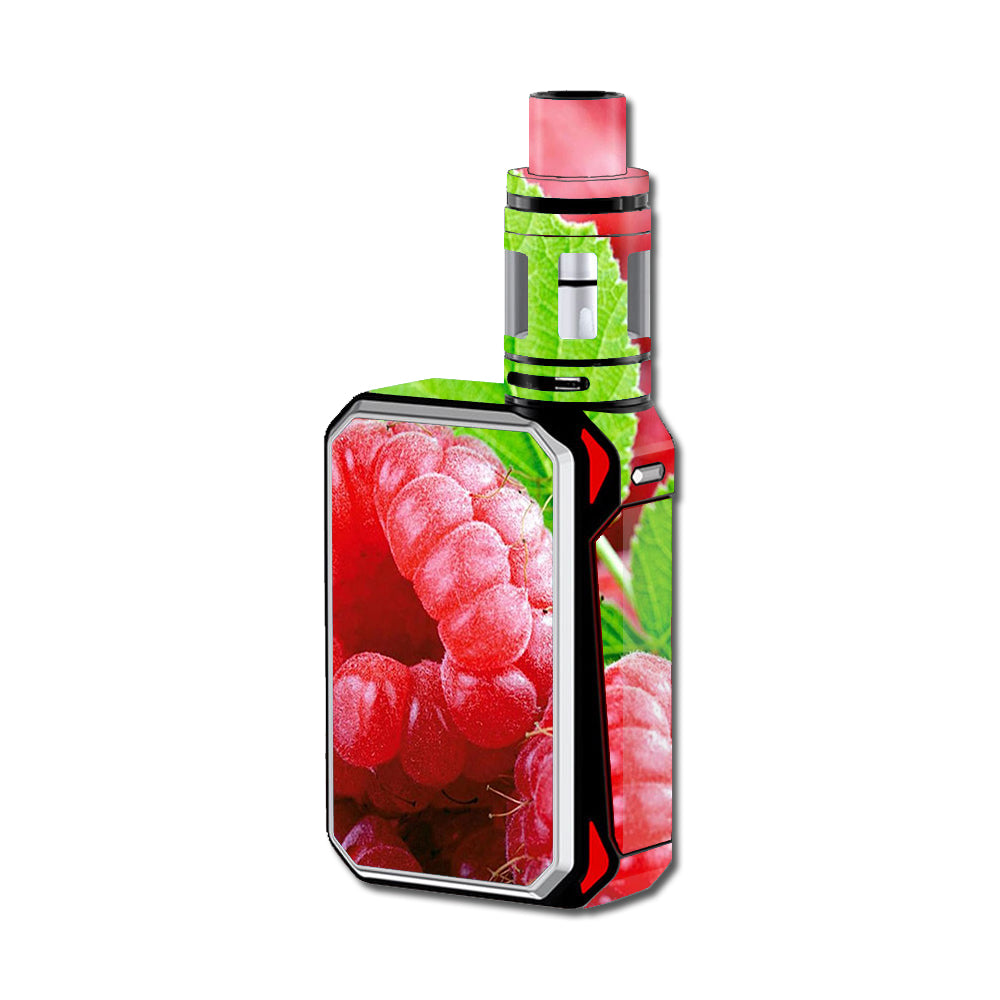  Raspberry, Fruit Smok G-Priv 220W Skin
