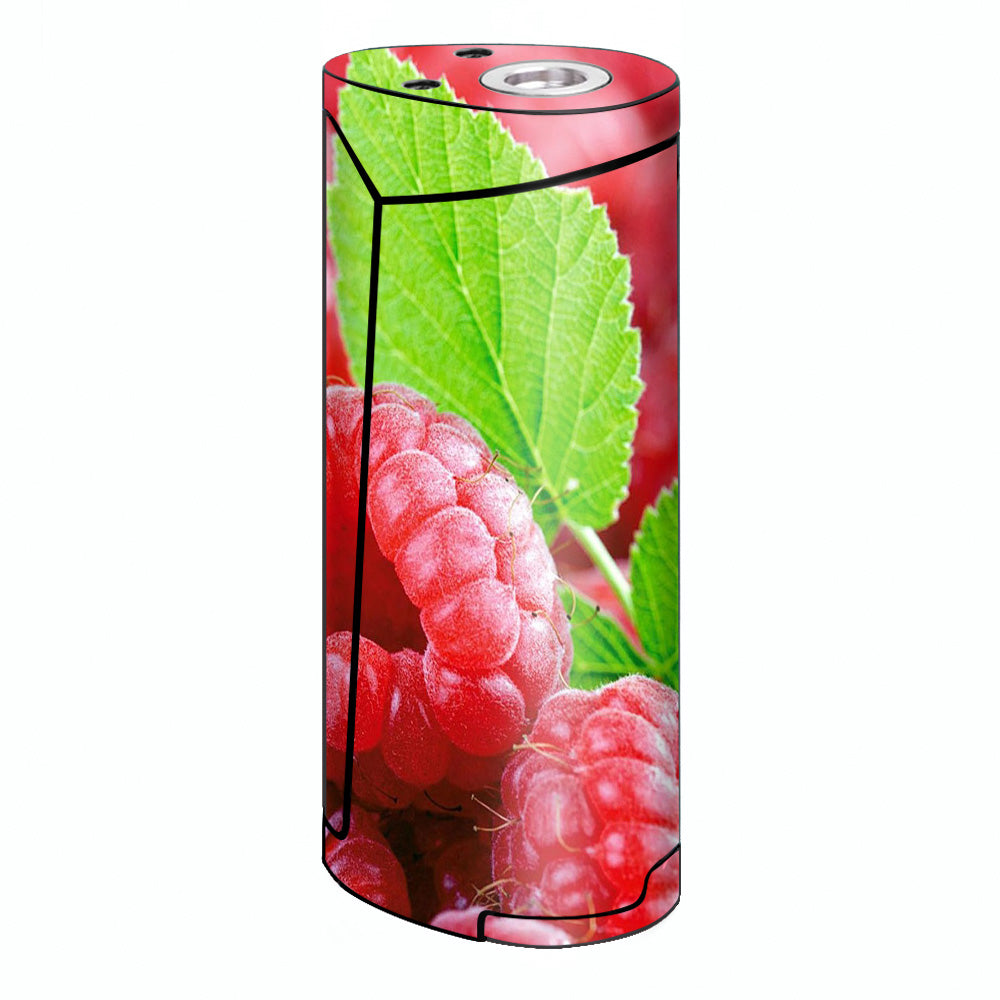  Raspberry, Fruit Smok Priv V8 60w Skin