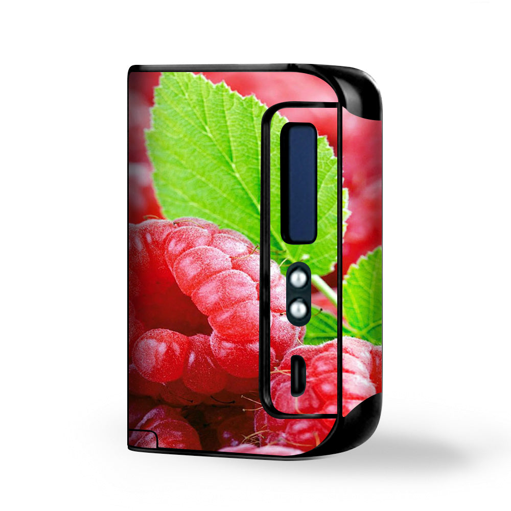  Raspberry, Fruit Smok Osub King Skin