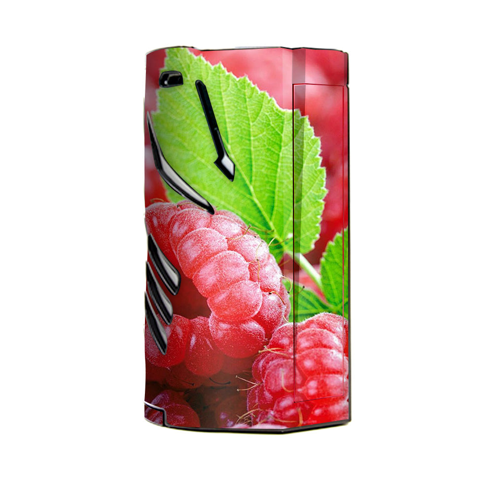 Raspberry, Fruit T-Priv 3 Smok Skin