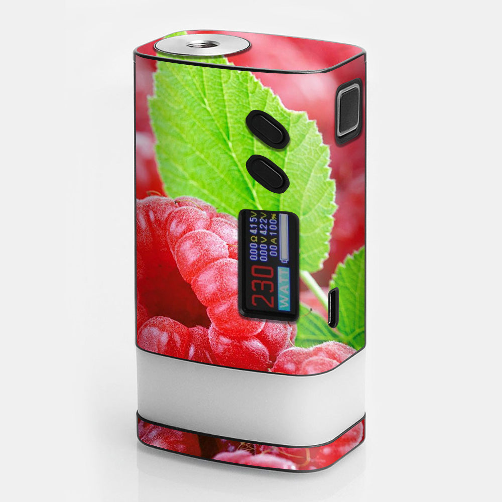  Raspberry, Fruit Sigelei Fuchai Glo 230w Skin