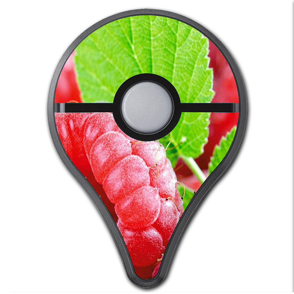  Raspberry, Fruit Pokemon Go Plus Skin