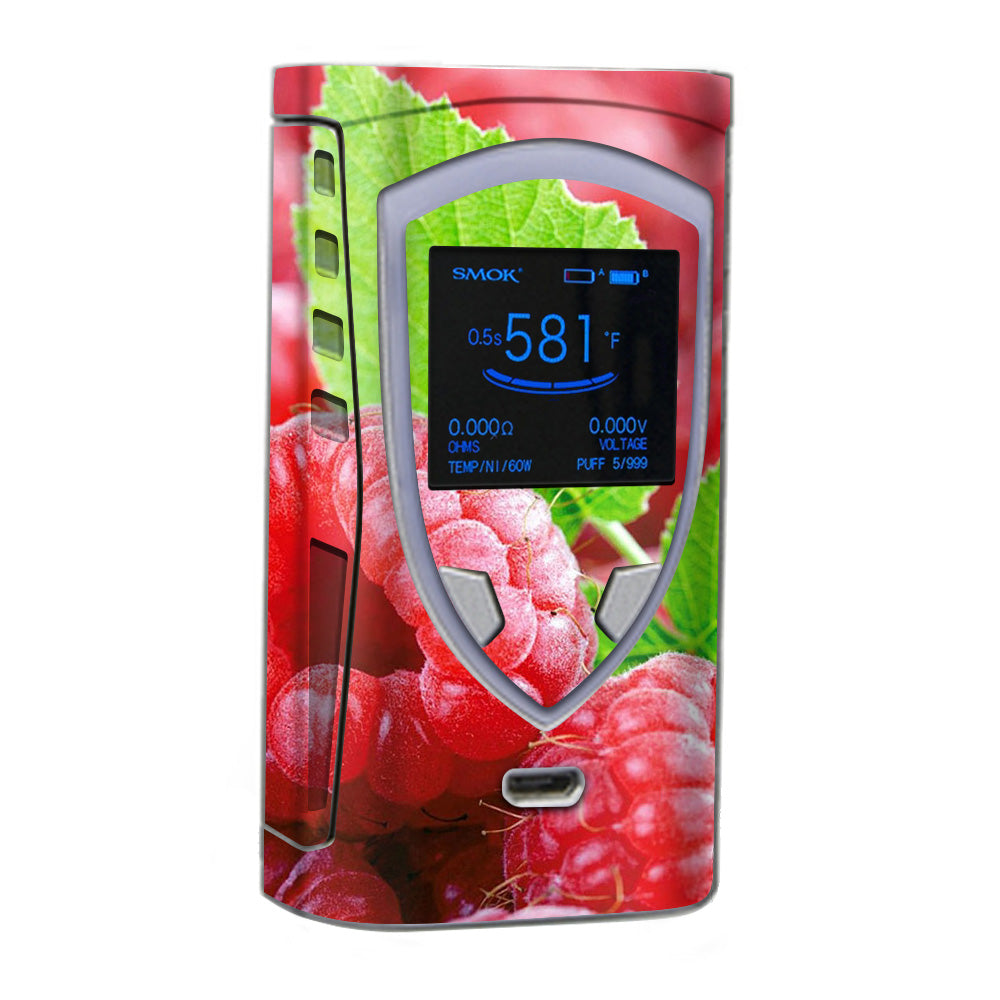  Raspberry, Fruit Smok ProColor Skin