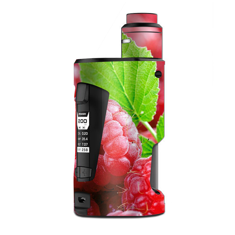  Raspberry, Fruit G Box Squonk Geek Vape Skin