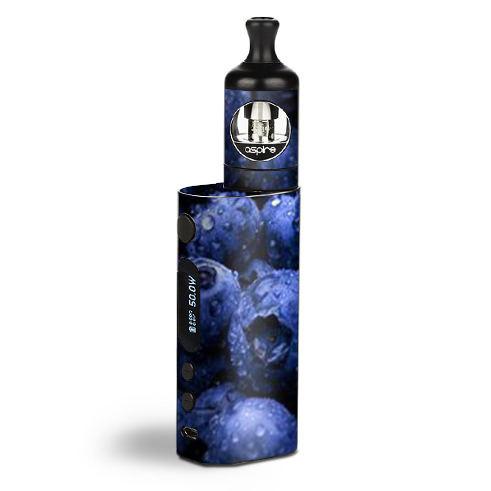  Blueberry, Blue Berries Aspire Zelos  Skin