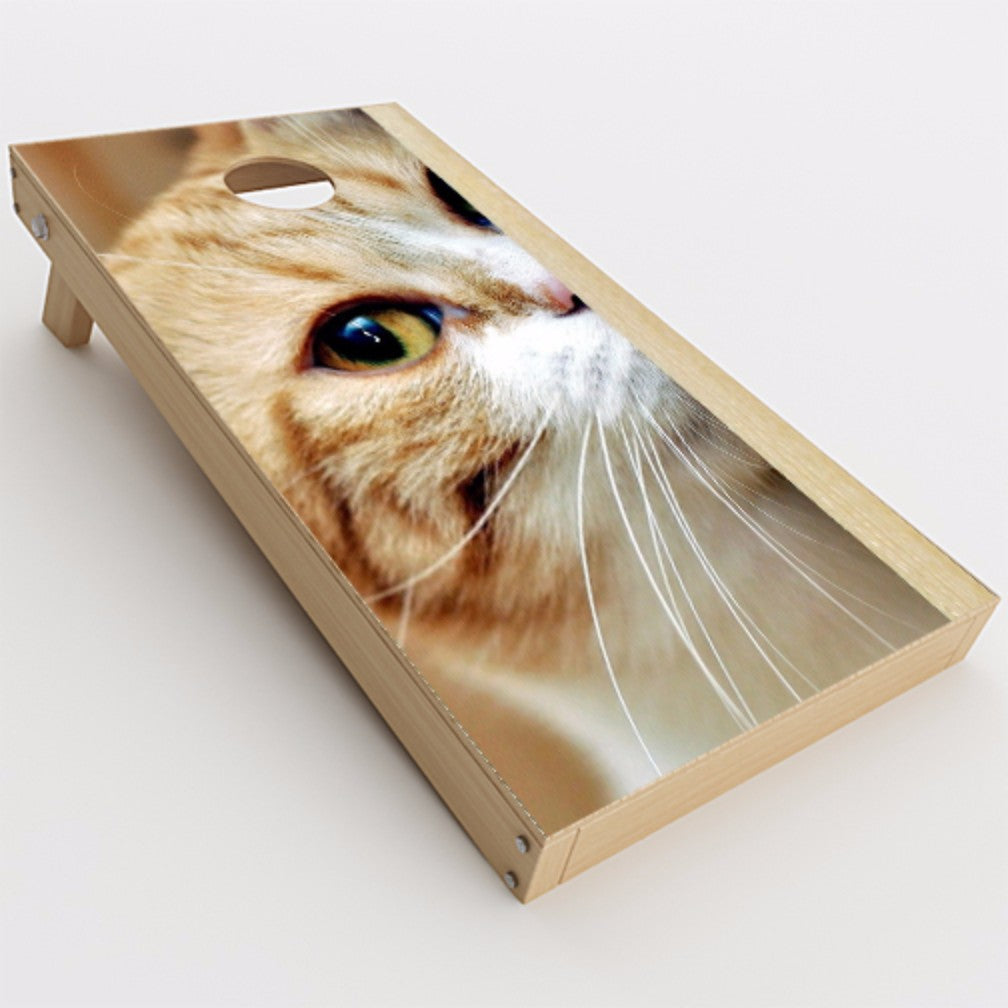  Cat Lomo Style Cornhole Game Boards  Skin