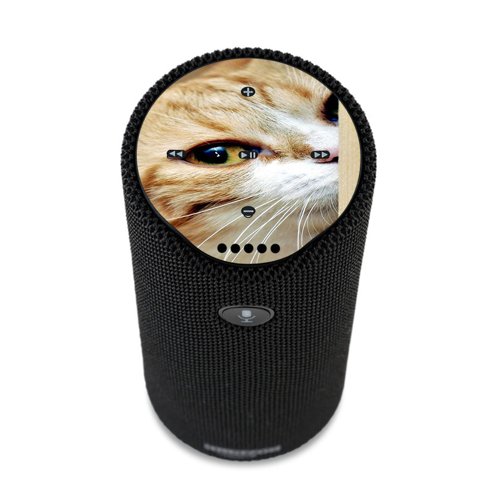  Cat Lomo Style Amazon Tap Skin