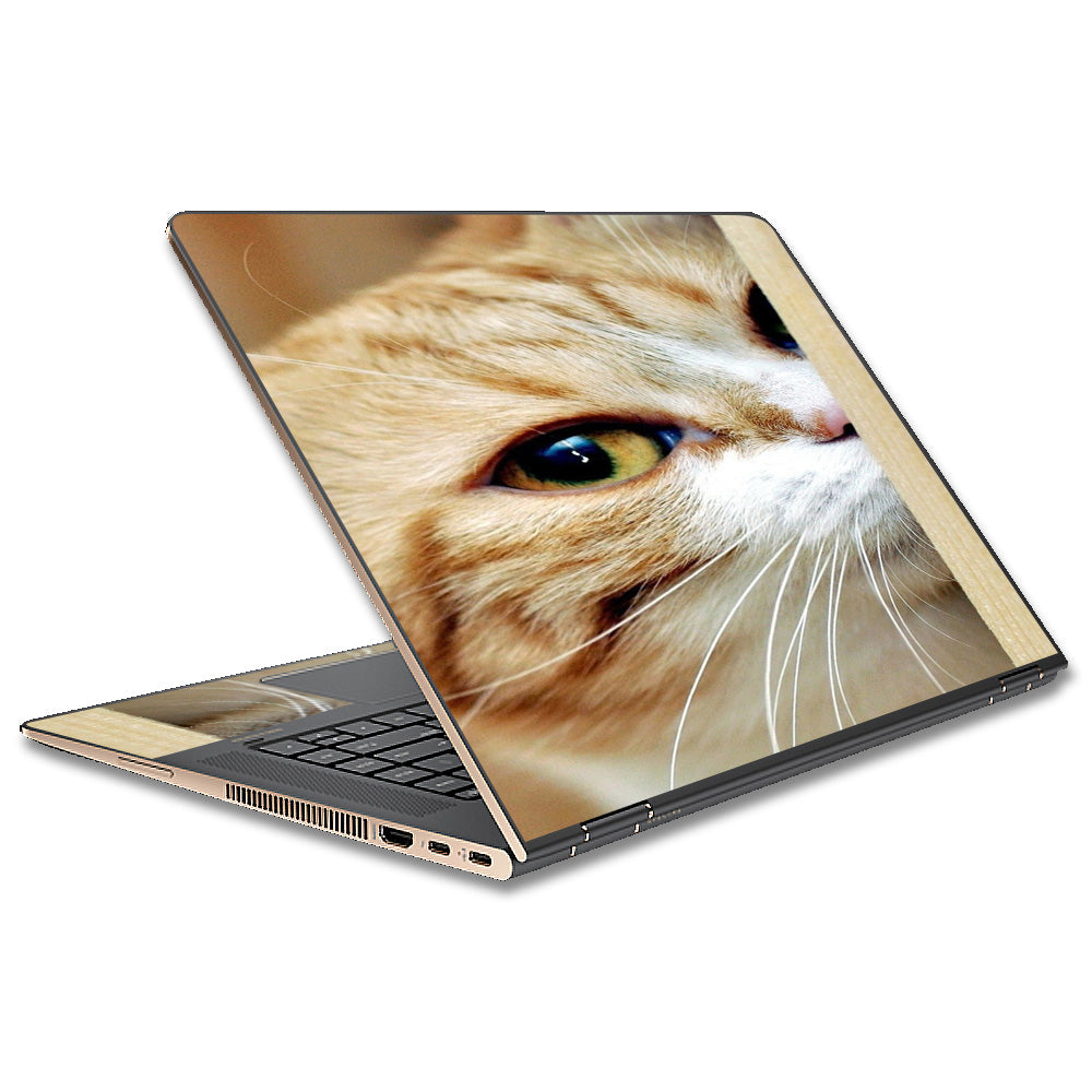  Cat Lomo Style HP Spectre x360 13t Skin