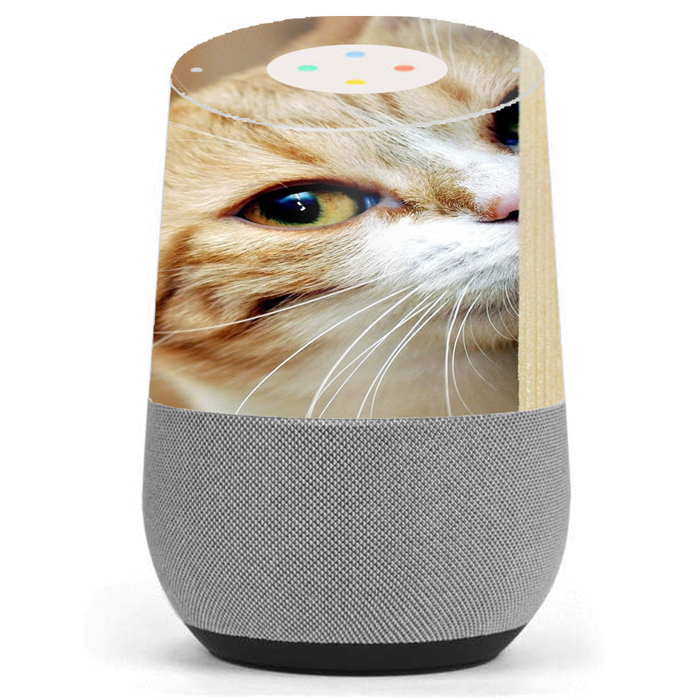  Cat Lomo Style Google Home Skin
