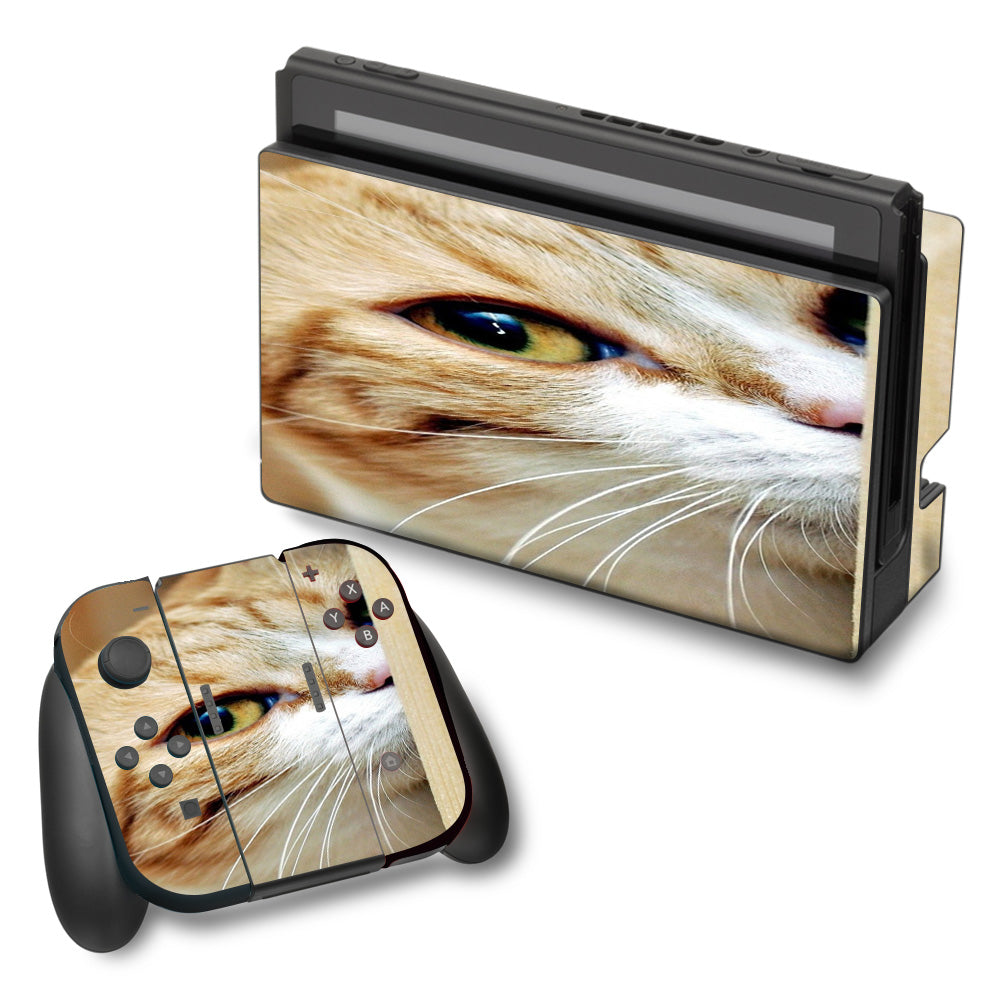  Cat Lomo Style Nintendo Switch Skin