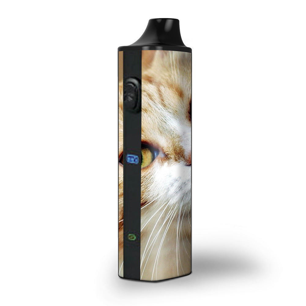  Cat Lomo Style Pulsar APX Skin