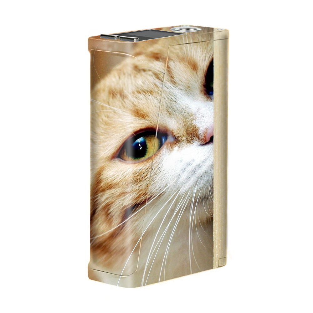  Cat Lomo Style Smok H-Priv Skin
