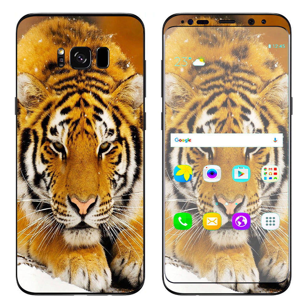  Siberian Tiger Samsung Galaxy S8 Plus Skin