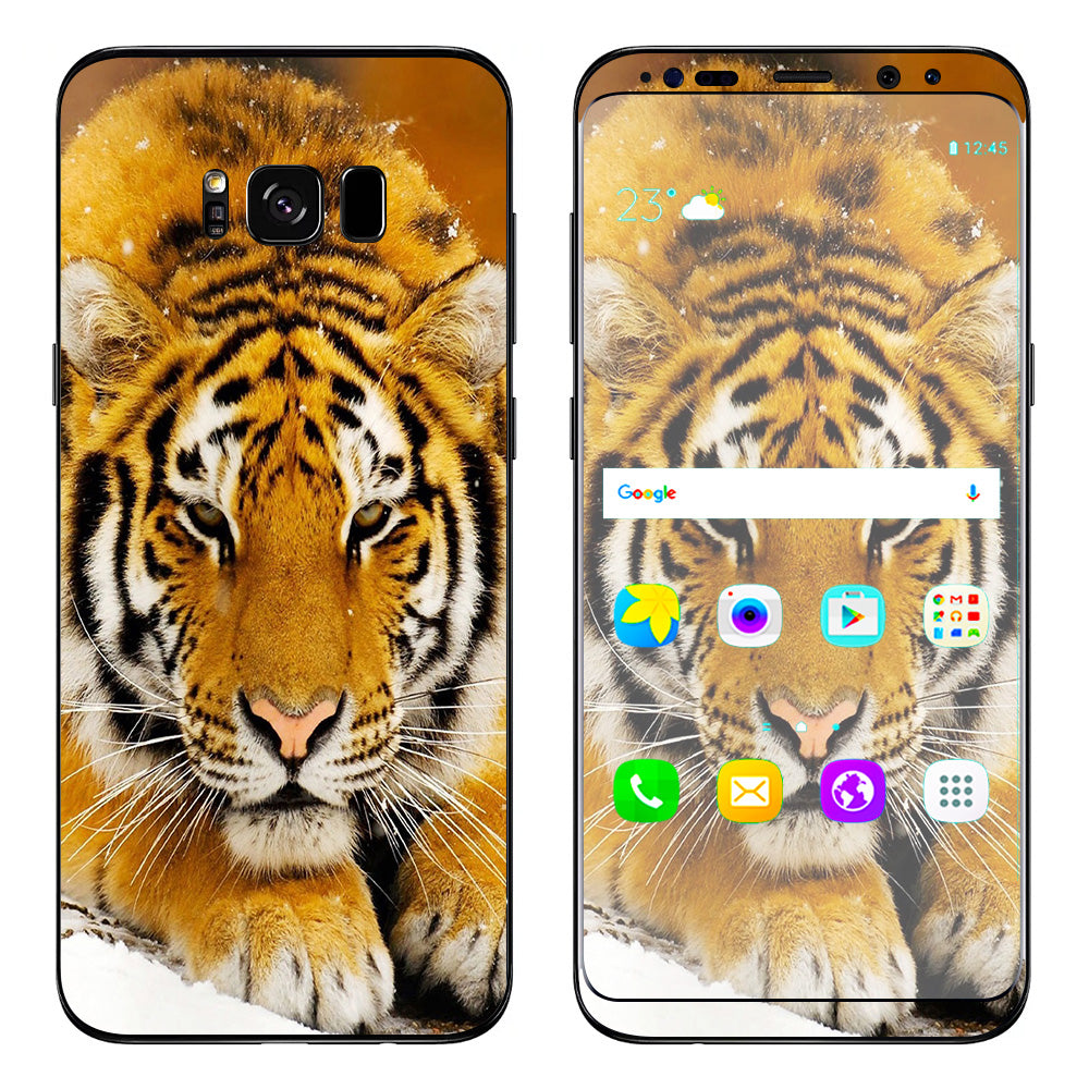  Siberian Tiger Samsung Galaxy S8 Skin
