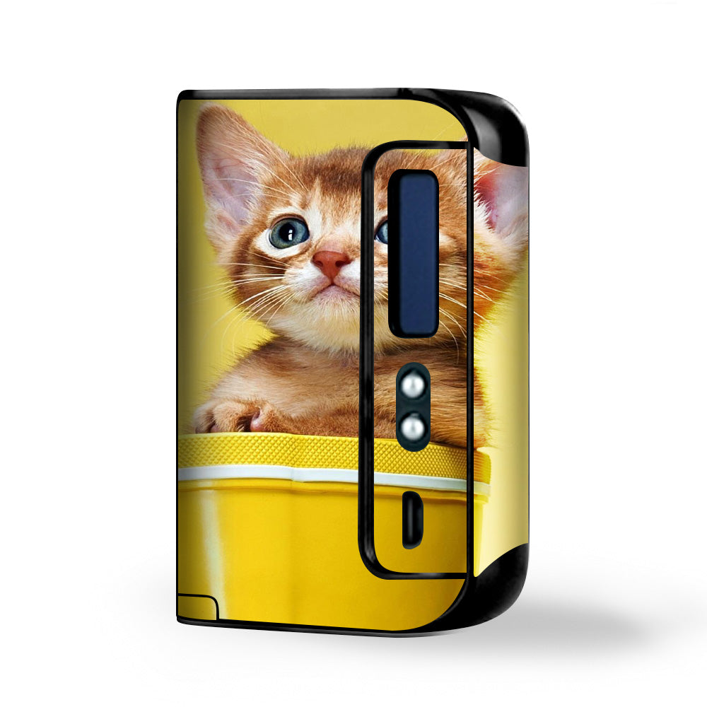  Cute Meng Kitten Smok Osub King Skin