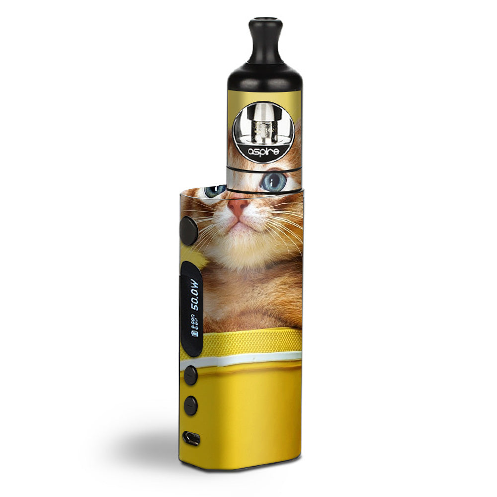  Cute Meng Kitten Aspire Zelos  Skin