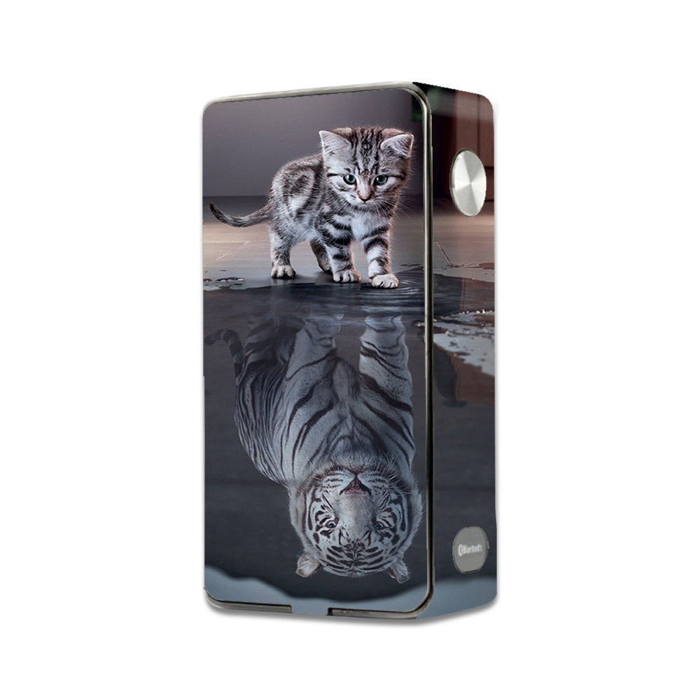  Kitten Reflection Of Lion Laisimo L3 Touch Screen Skin