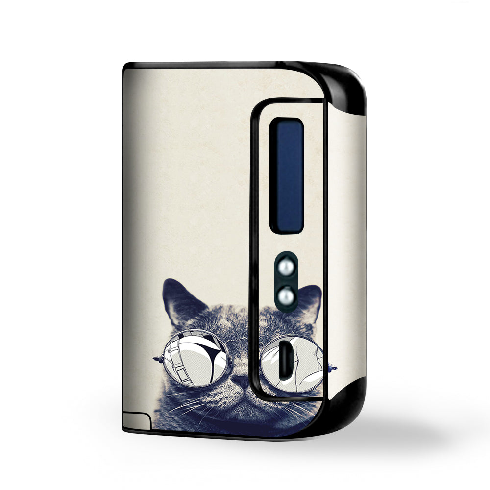  Cool Cat Kat Shades Glasses Tumblr Smok Osub King Skin
