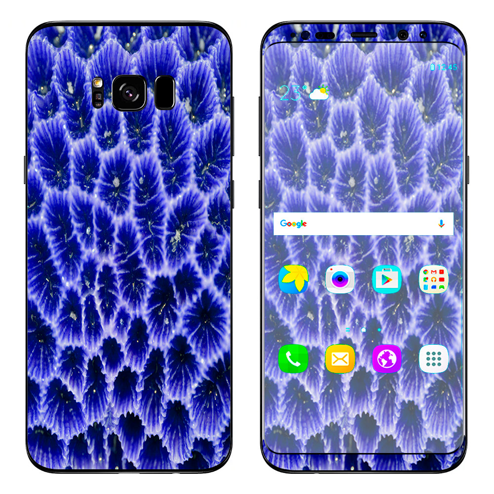  Coral Reef Ocean Live Samsung Galaxy S8 Skin