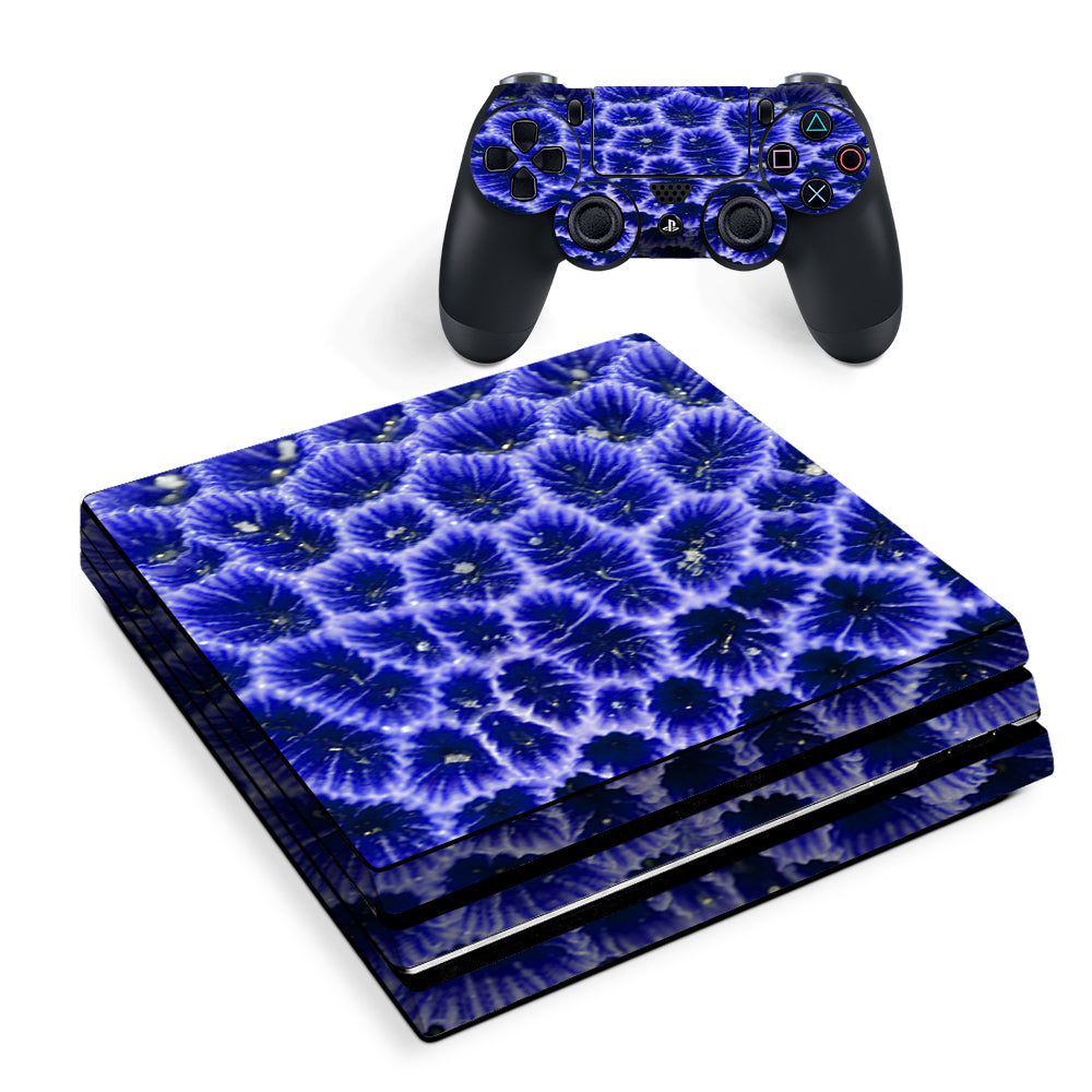 Coral Reef Ocean Live Sony PS4 Pro Skin