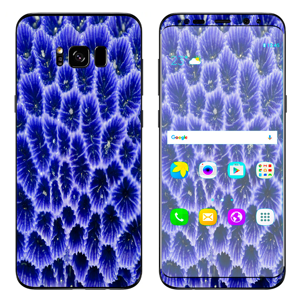  Coral Reef Ocean Live Samsung Galaxy S8 Plus Skin