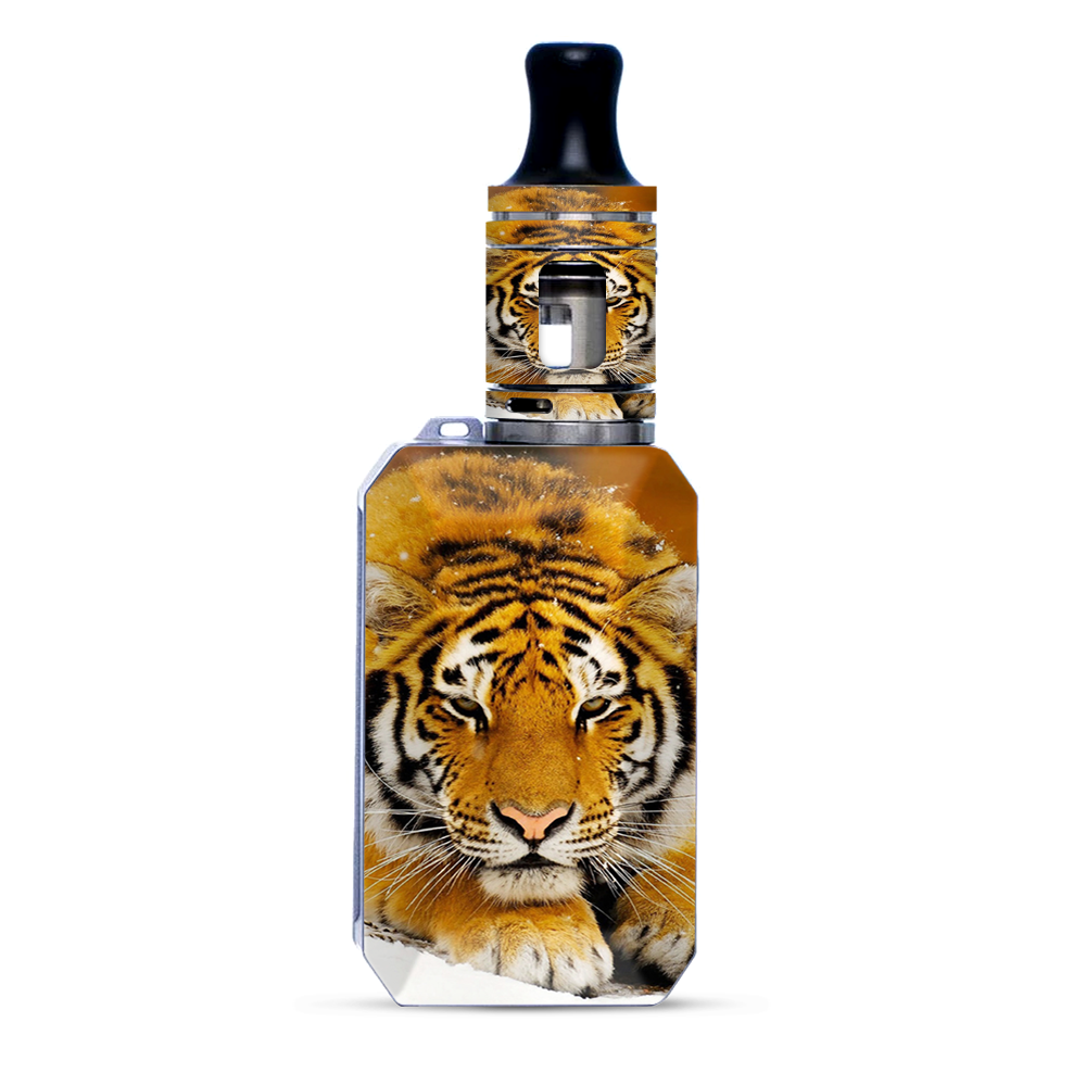 Siberian Tiger