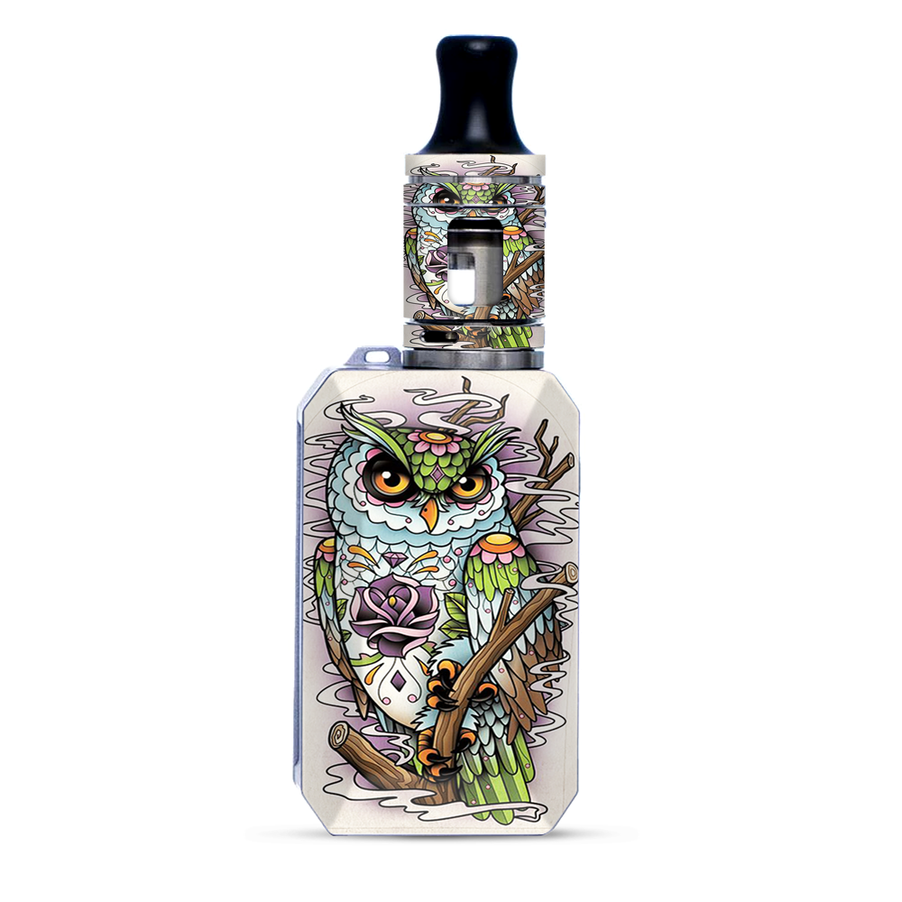 Owl Painting Aztec Style
