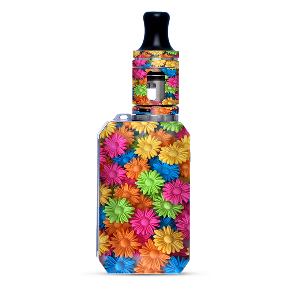 Colorful Wax Daisies Flowers