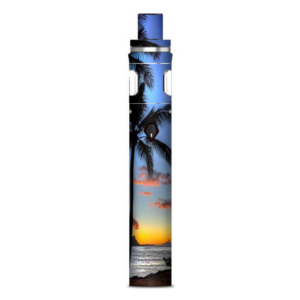  Paradise Sunset Palm Trees Smok Nord AIO 19 Skin