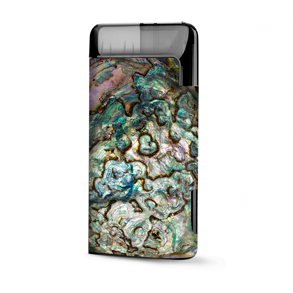 Abalone Shell Gold Underwater