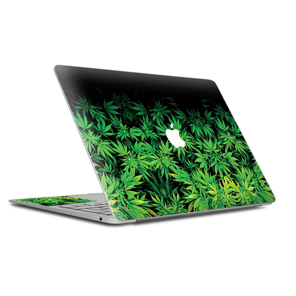 Weed Green Bud Marijuana Leaves