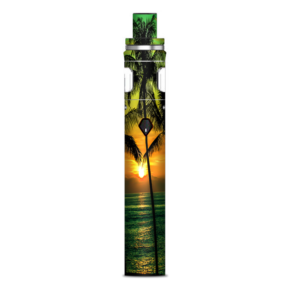  Sunset Palm Trees Ocean Smok Nord AIO 19 Skin