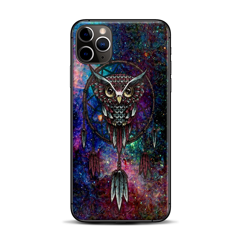 Dreamcatcher Owl In Color