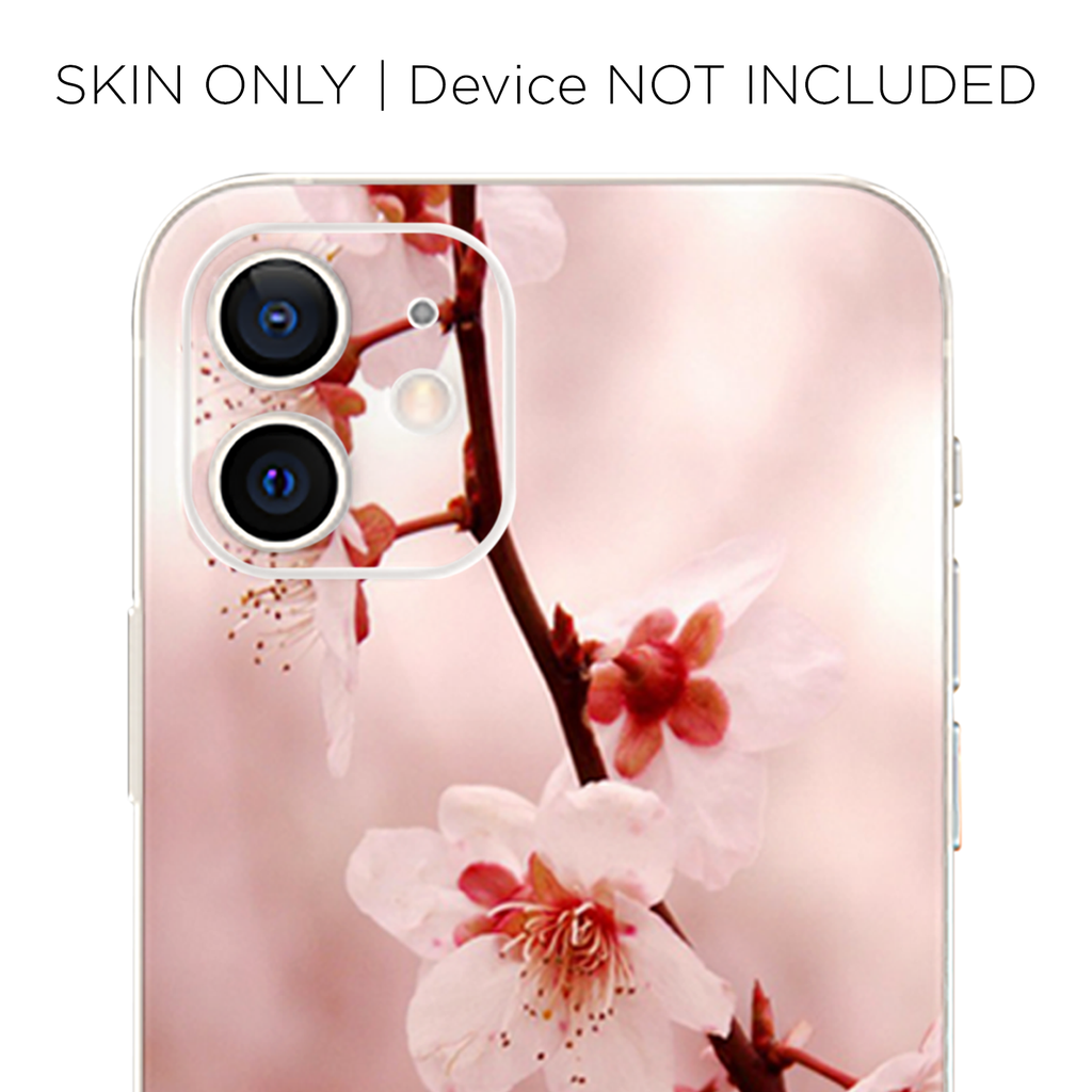 Cherry Blossoms