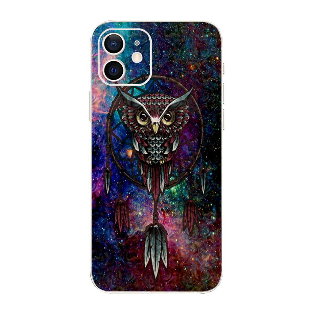 Dreamcatcher Owl In Color
