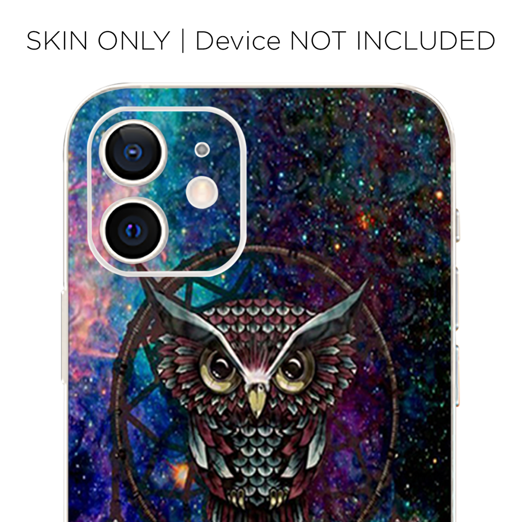 Dreamcatcher Owl In Color