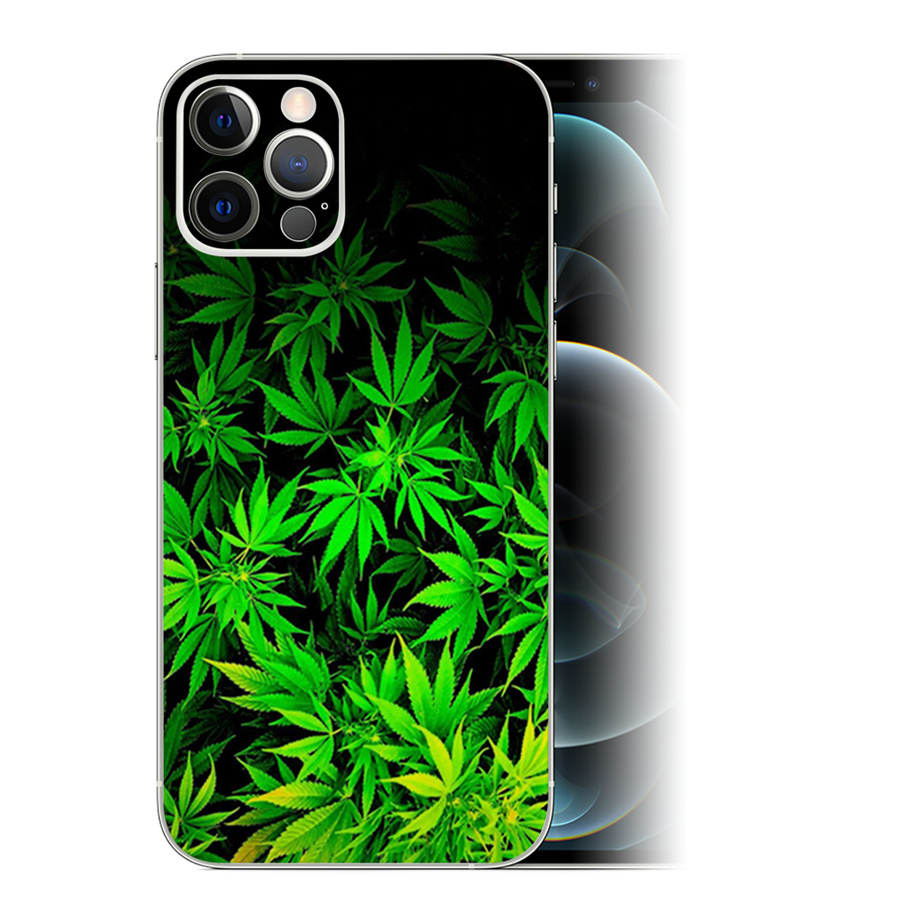 Weed Green Bud Marijuana Leaves