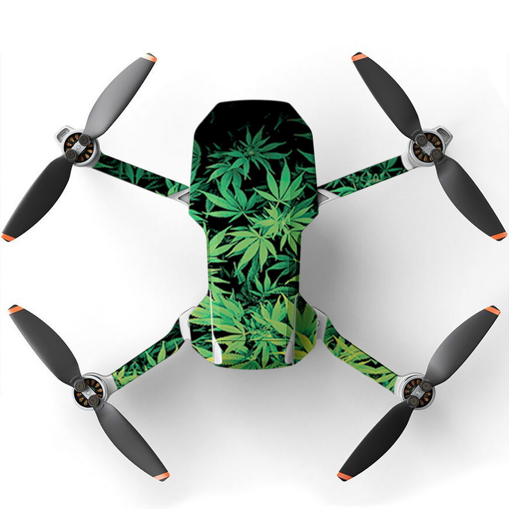 Weed Green Bud Marijuana Leaves