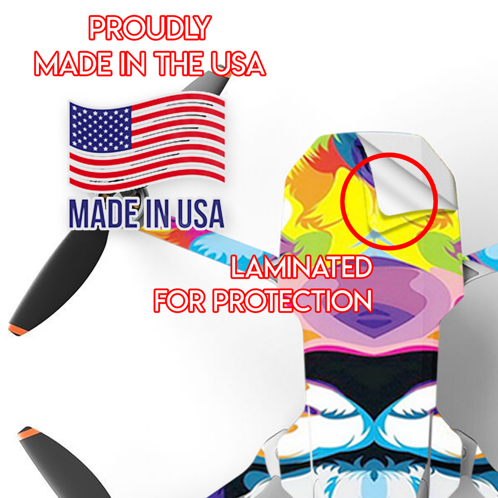 Colorful Lion Abstract Paint